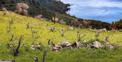 Panoramic plot with sea view in Rodakino Photo 