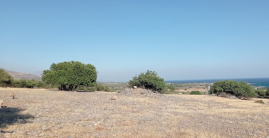 Land for sale in Fragokastello Photo 