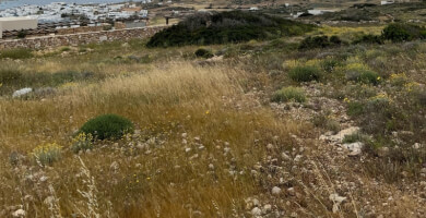 Αγροτεμάχιο για επένδυση | Κουφονήσια Φωτογραφία 