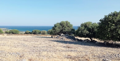 Land for sale in Fragokastello Photo 