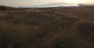 Αγροτεμάχιο στο Καστράκι, Νάξος Φωτογραφία 