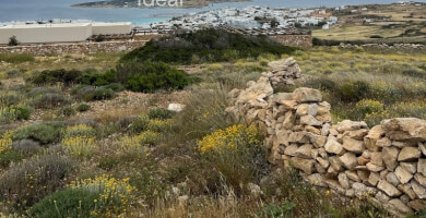 Αγροτεμάχιο για επένδυση | Κουφονήσια Φωτογραφία 