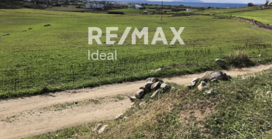 Αγροτεμάχιο για επένδυση | Μικρή Βίγλα, Νάξος Φωτογραφία 