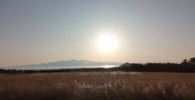 Αγροτεμάχιο στο Καστράκι, Νάξος Φωτογραφία 