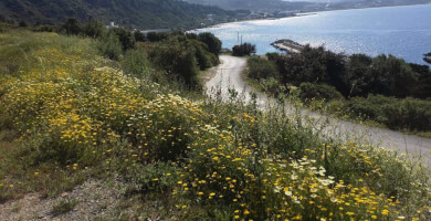 Plot of land between Plakias and Souda Photo 
