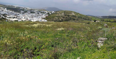 Αγροτεμάχιο στη Βίβλο Φωτογραφία 