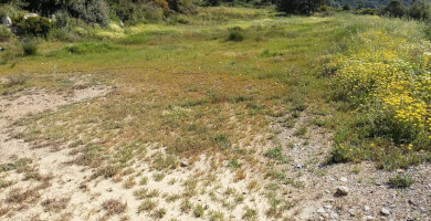 Plot of land between Plakias and Souda Photo 